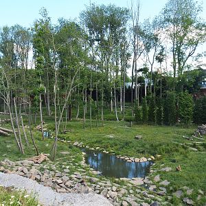 Eurasian brown bear and Eurasian grey wolf exhibit, 2022-06-28