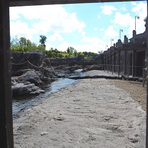 Steller's sea lion exhibit beach, 2022-06-28