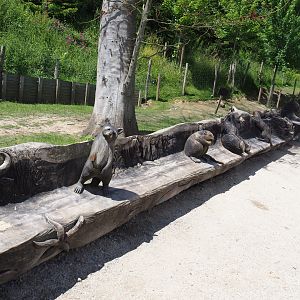 Long log bench with animal wood carvings, 2022-06-28