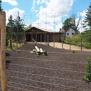 Common fallow deer holding paddock and shelter, 2022-06-28