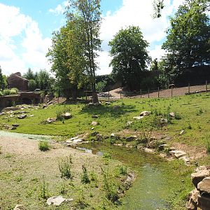Musk ox exhibit, 2022-06-28