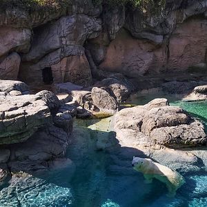 Aug. 2022 - North America: Rocky Coast - Original Polar Bear Exhibit (4,400 square feet)