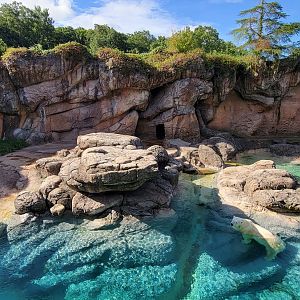 Aug. 2022 - North America: Rocky Coast - Original Polar Bear Exhibit (4,400 square feet)