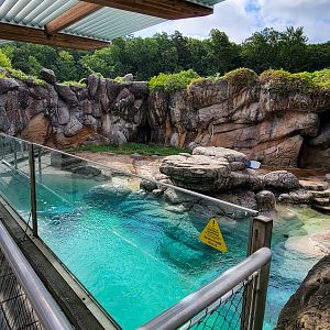 Aug. 2022 - North America: Rocky Coast - Original Polar Bear Exhibit (4,400 square feet)