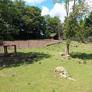 Musk ox exhibit, 2022-06-28