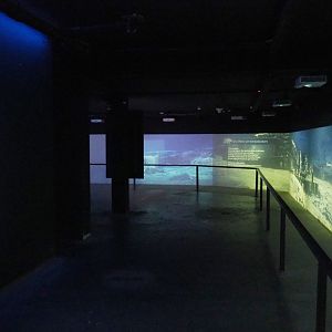 Polar bear exhibition, 2022-06-28