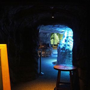 Penguin Bar, 2022-06-28