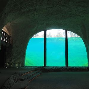 Underwater viewing window polar bear exhibit, 2022-06-28