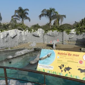 Marine otter exhibit - Parque Zoológico Huachipa