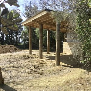 New Rhino Shelter