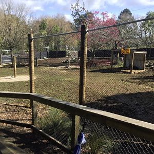 New Lowland Nyala Exhibit