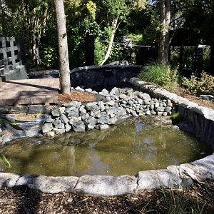 New Zealand Longfin Eel Pond (Under Construction)