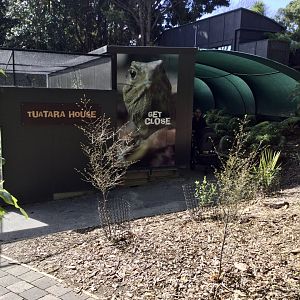 New Tuatara House