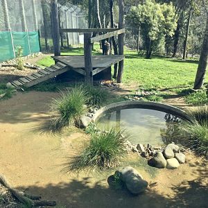 Sumatran Tiger Exhibit (Small)