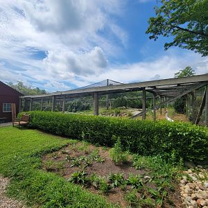 Ripley Waterfowl Conservancy - Siberian crane yard