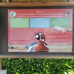 Ripley Waterfowl Conservancy - Entrance sign