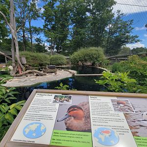 Ripley Waterfowl Conservancy - First walkthrough aviary