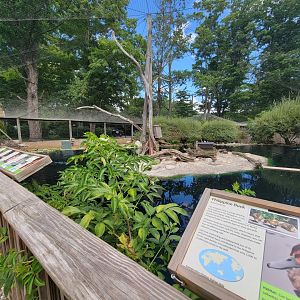 Ripley Waterfowl Conservancy - First walkthrough aviary