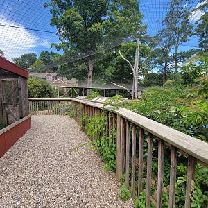 Ripley Waterfowl Conservancy - first walkthrough aviary