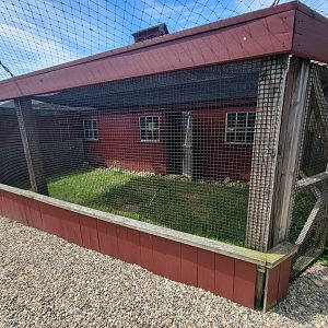 Ripley Waterfowl Conservancy - Harris's hawk outdoor area