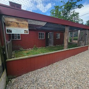 Ripley Waterfowl Conservancy - Harris's hawk outdoor area