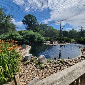 Ripley Waterfowl Conservancy - Walkthrough aviary 2