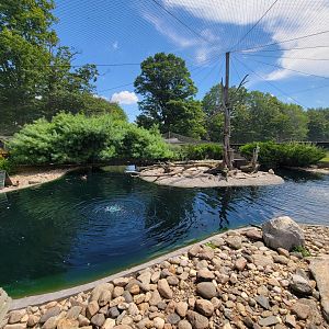 Ripley Waterfowl Conservancy - Walkthrough aviary 2