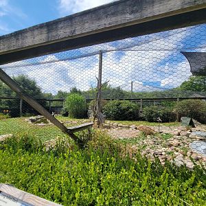 Ripley Waterfowl Conservancy - Walkthrough aviary 2