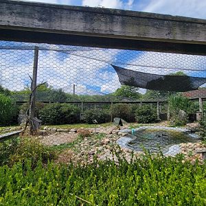 Ripley Waterfowl Conservancy - 4th aviary