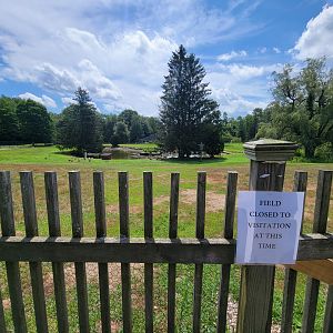 Ripley Waterfowl Conservancy - Field and back aviaries closed :(