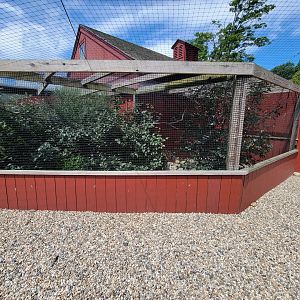 Ripley Waterfowl Conservancy - White-crested laughingthrush