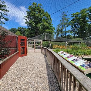 Ripley Waterfowl Conservancy - 2nd walkthrough aviary, pigeons on left, 1st walkthrough aviary ahead