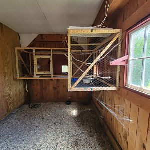 Ripley Waterfowl Conservancy - Indoor areas for pigeons, laughingthrush