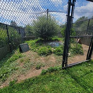 Ripley Waterfowl Conservancy - Smaller aviaries