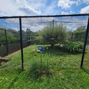 Ripley Waterfowl Conservancy - Smaller aviaries