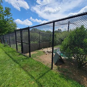 Ripley Waterfowl Conservancy - Smaller aviaries