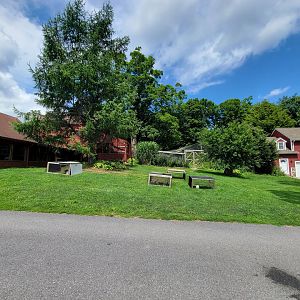 Ripley Waterfowl Conservancy - Barn on left, eagle-owl and private aviaries in back, ducklings in front