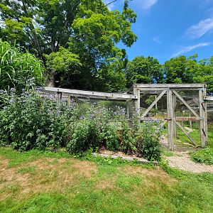 Ripley Waterfowl Conservancy - Private aviaries
