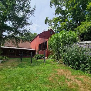 Ripley Waterfowl Conservancy - Eurasian eagle-owl
