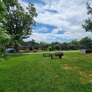 Ripley Waterfowl Conservancy - Looking at siberian crane, smaller aviaries, ducklings from by the private area