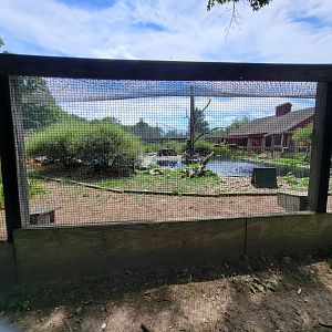 Ripley Waterfowl Conservancy - First walkthrough aviary from side