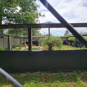 Ripley Waterfowl Conservancy - Breeding aviaries
