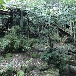 Older Sumatran tiger enclosure (3)