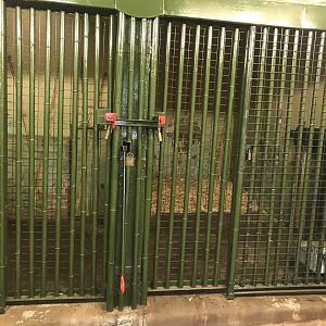 Female Sumatran tiger indoors