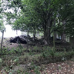 Lowland nyala enclosure