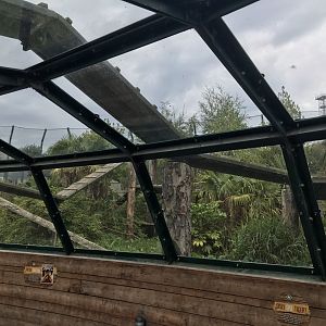 Newer Sumatran tiger enclosure (4)