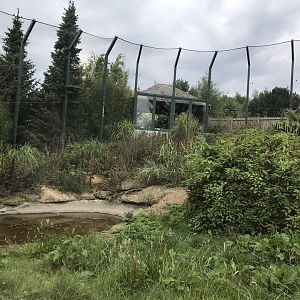 Newer Sumatran tiger enclosure (5)