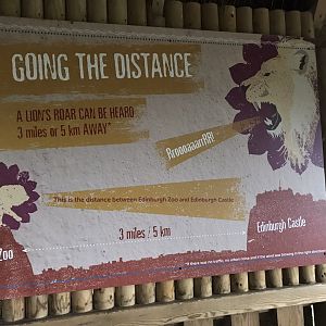 Asiatic lion signage