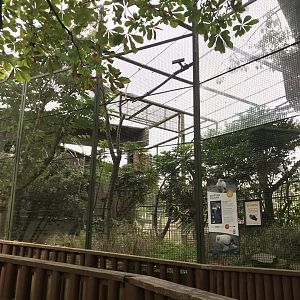 Egyptian vulture aviary