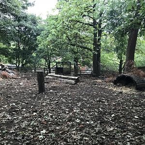 Visayan warty pig enclosure